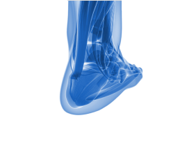 Tendinopathies