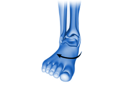 Ligament Injuries