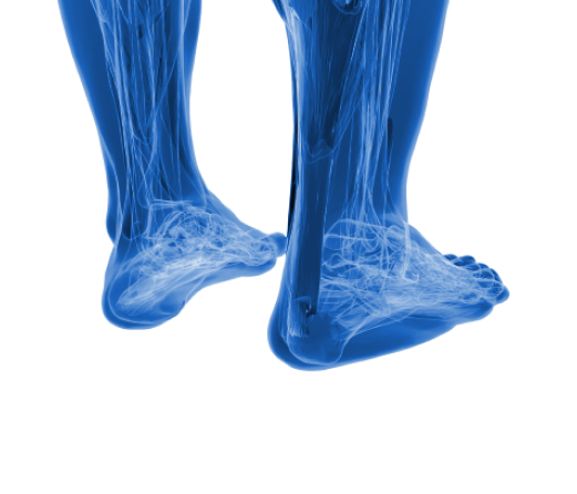 Tendon Injuries