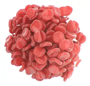 Platelet Rich Plasma