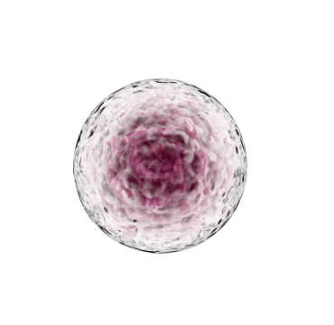 stem cell treatment