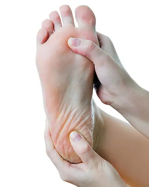 Fat Pad Atrophy Normal Fat Pad