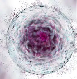 stem-cell-treatment-foot